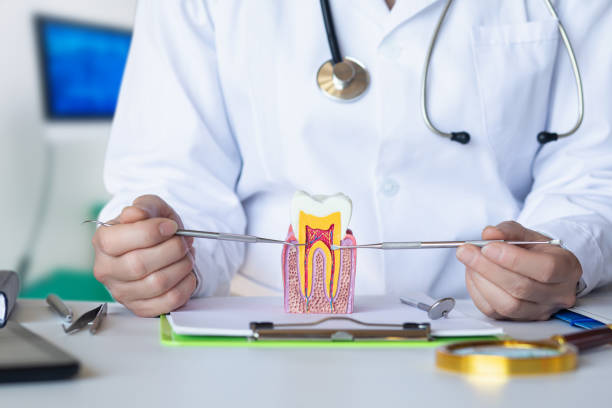 Best Emergency Wisdom Teeth Removal in Springdale, PA